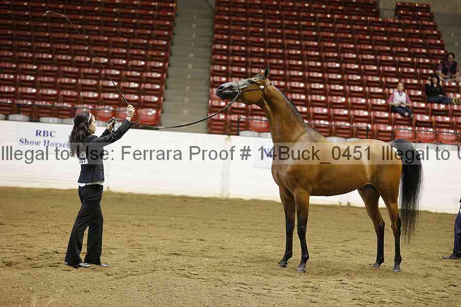 Proof 14buck_0451