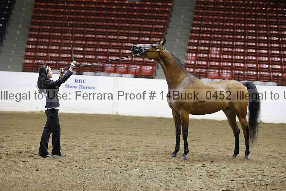 Proof 14buck_0452