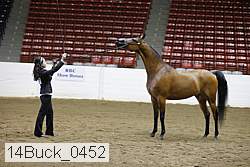 14buck_0452 proof