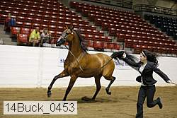 14buck_0453 proof