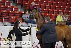14buck_0454 proof