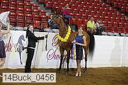14buck_0456 proof