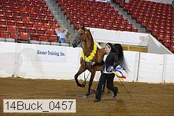 14buck_0457 proof