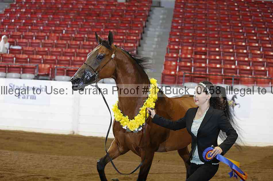 Proof 14buck_0458