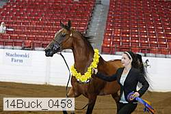 14buck_0458 proof