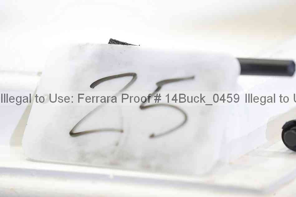 Proof 14buck_0459