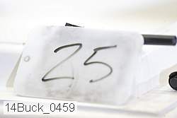 14buck_0459 proof
