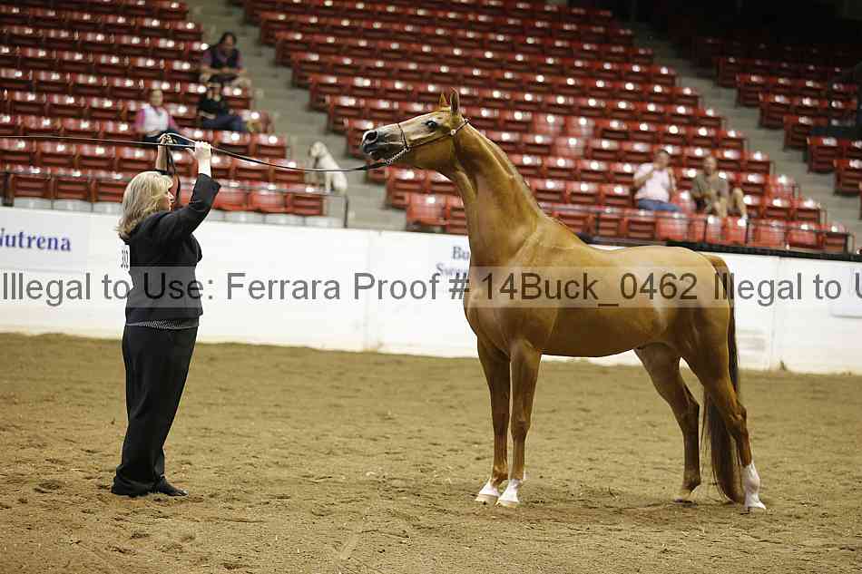 Proof 14buck_0462