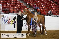 14buck_0464 proof