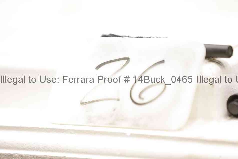 Proof 14buck_0465