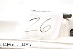 14buck_0465 proof