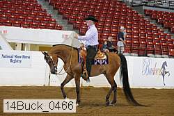 14buck_0466 proof