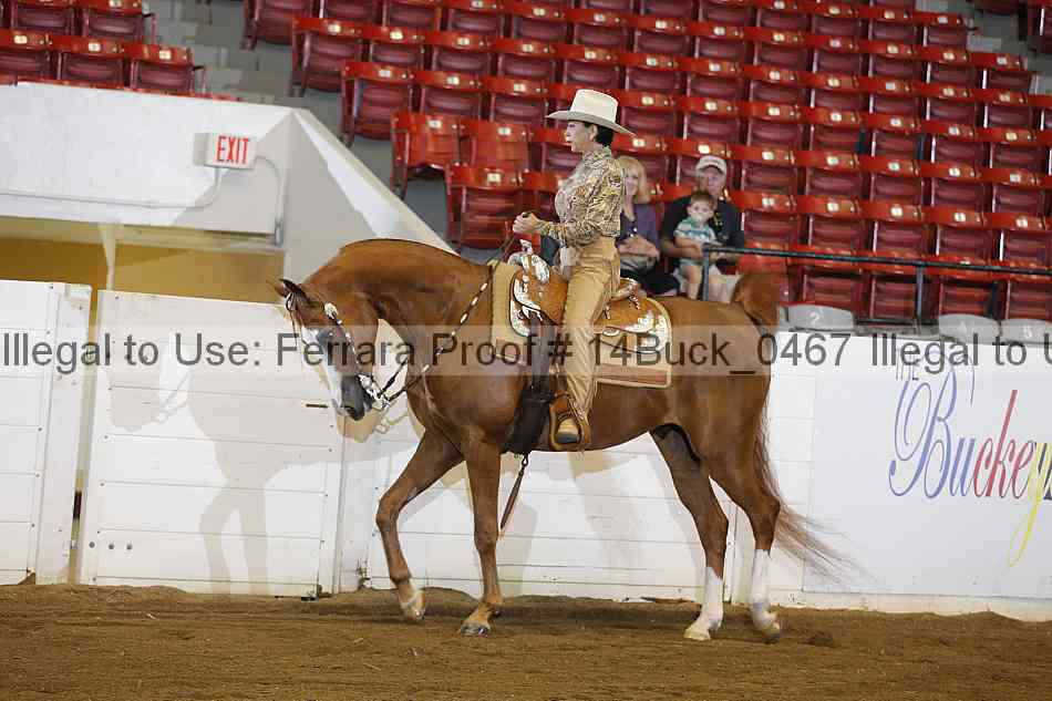 Proof 14buck_0467