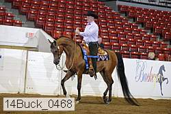14buck_0468 proof