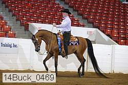 14buck_0469 proof