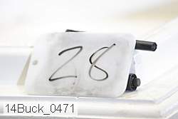 14buck_0471 proof
