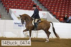 14buck_0474 proof