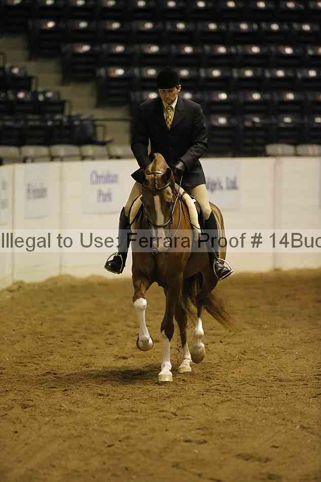 Proof 14buck_0475