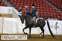 14buck_0477 proof