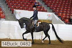 14buck_0482 proof