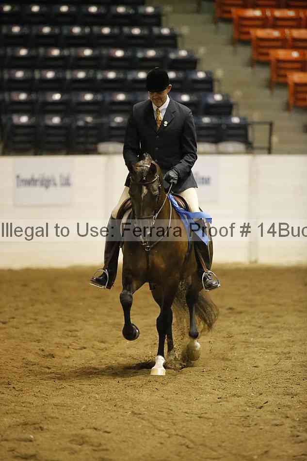 Proof 14buck_0485