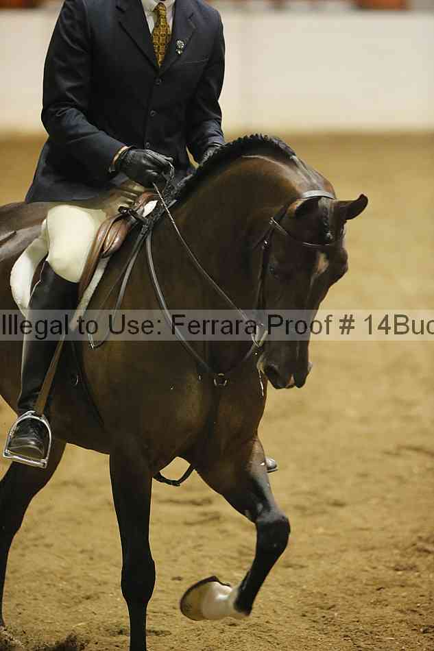 Proof 14buck_0487