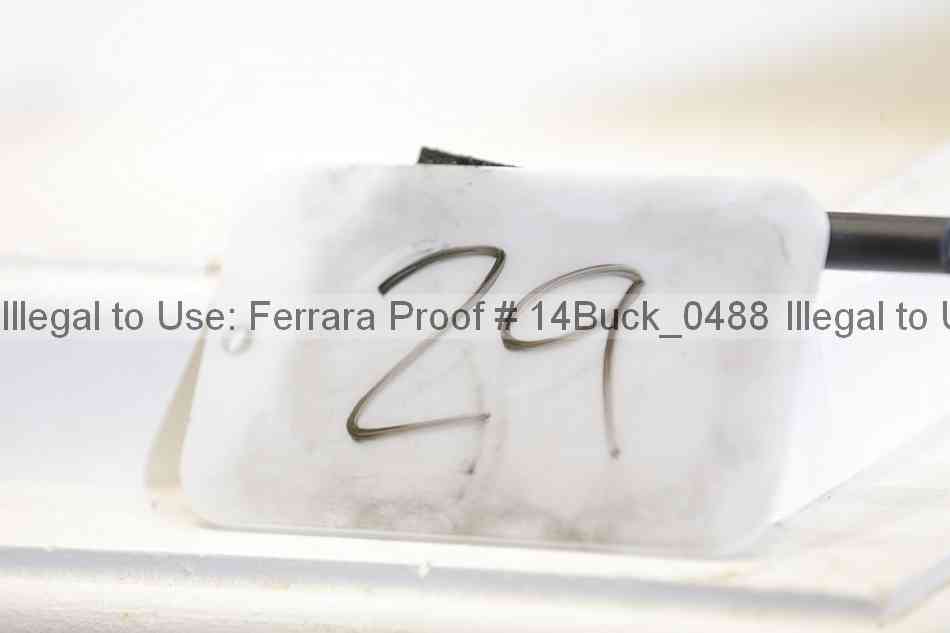 Proof 14buck_0488