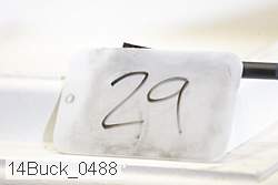 14buck_0488 proof