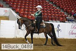 14buck_0489 proof