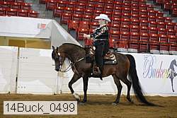 14buck_0499 proof