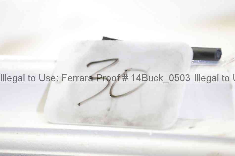 Proof 14buck_0503