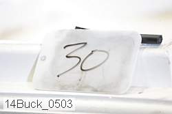 14buck_0503 proof