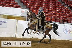 14buck_0508 proof