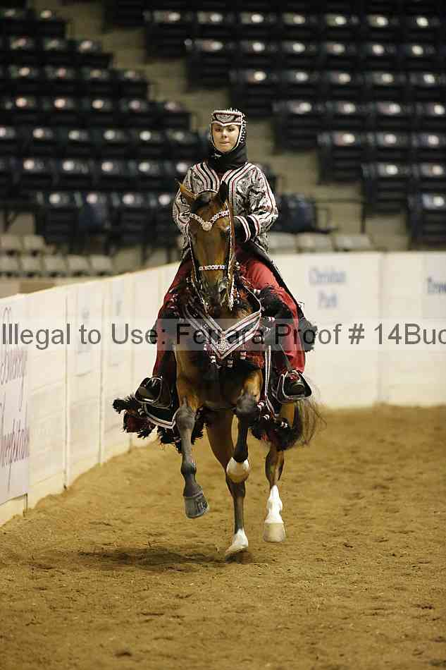 Proof 14buck_0511