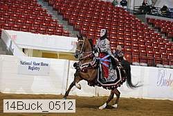14buck_0512 proof