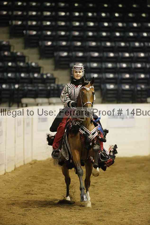 Proof 14buck_0513