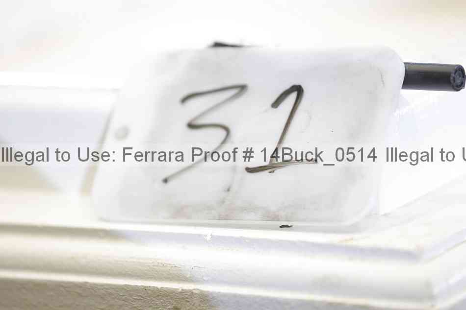 Proof 14buck_0514