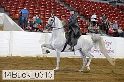 14buck_0515 proof