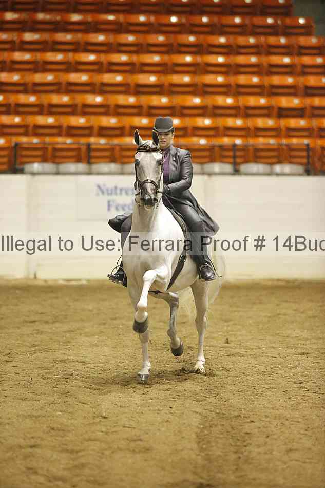 Proof 14buck_0516
