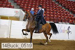 14buck_0519 proof