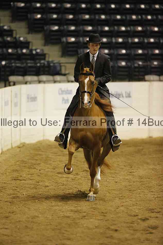 Proof 14buck_0523