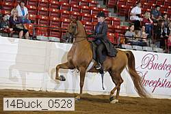 14buck_0528 proof
