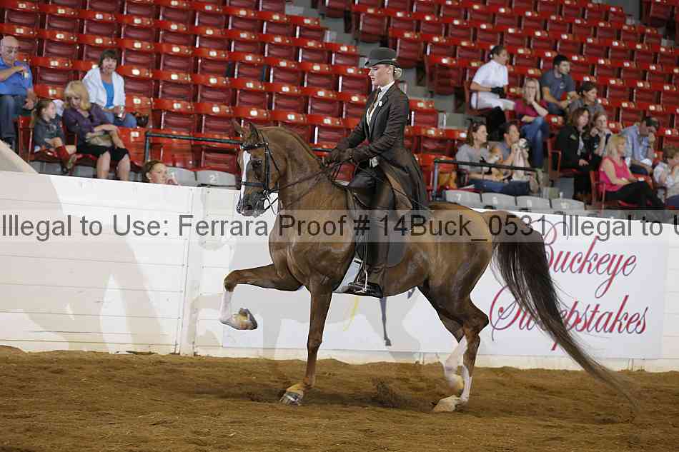 Proof 14buck_0531