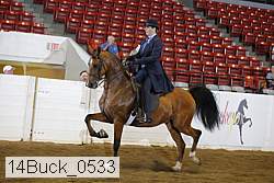 14buck_0533 proof