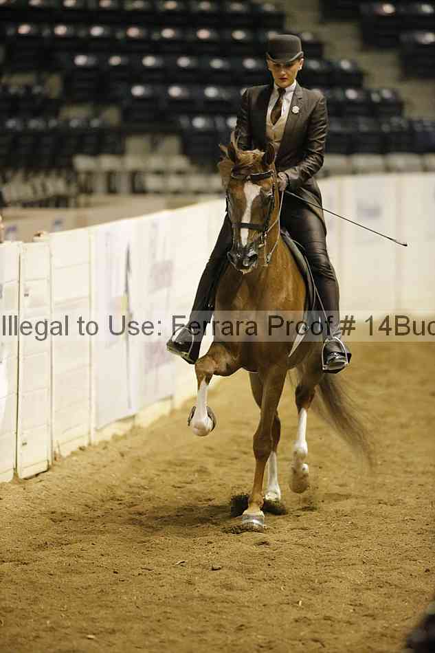 Proof 14buck_0534