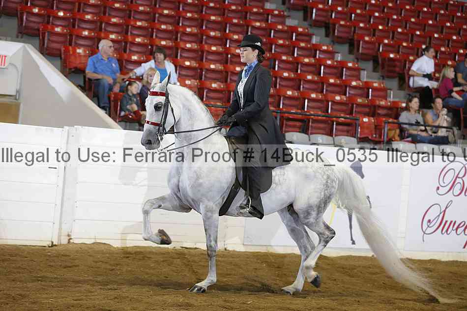 Proof 14buck_0535