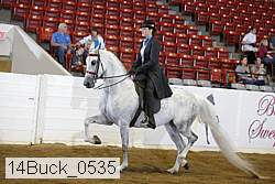 14buck_0535 proof