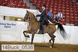 14buck_0536 proof