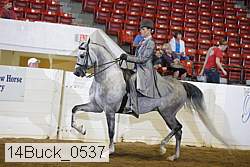 14buck_0537 proof