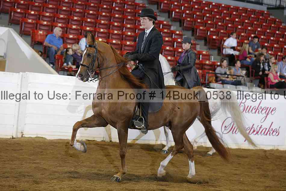 Proof 14buck_0538